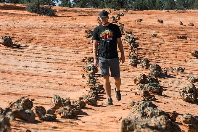 East Zion Outback UTV Tour with Licensed Guide - FAQ