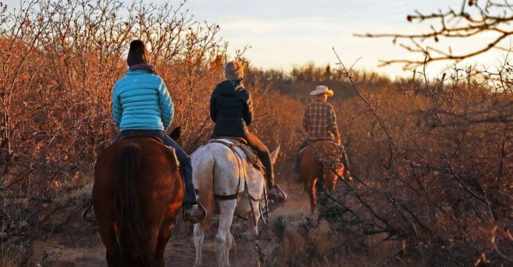 East Zion: Pine Knoll Horseback Tour - Activity Details
