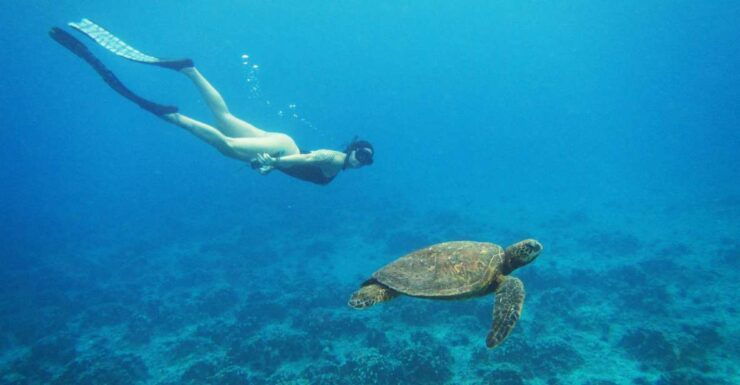 Easter Island: Snorqueling Tour on Coral Reefs - Tour Details