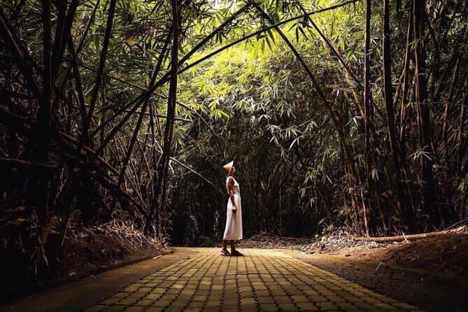 Eastern Bali and Besakih Temple Tour - A Closer Look at the Itinerary