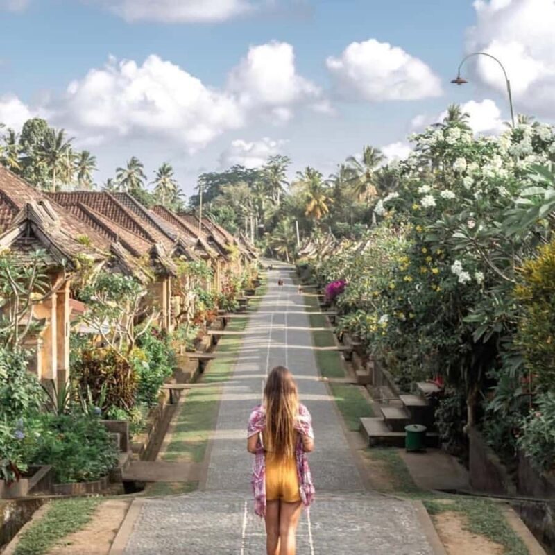 Eastern Bali and Pura Besakih Temple Tour - Who Should Consider This Tour?