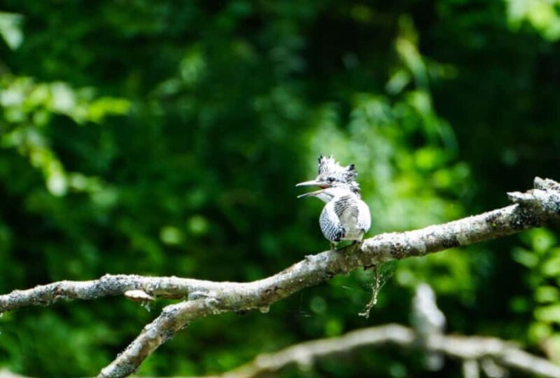 Eastern Hokkaido: Canoe, Stargazing, and Birdwatching - FAQ