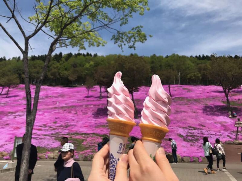 Eastern Hokkaido: Shibazakura & Tulip Park Day Tour - Frequently Asked Questions