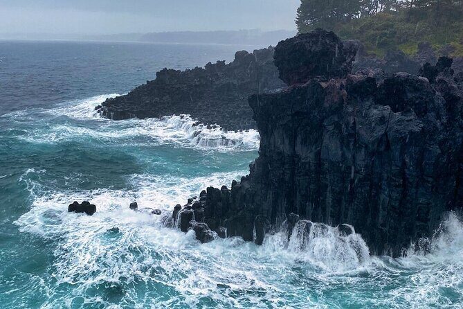 Eastern Jeju: All Inclusive Private Tour w/ Tangerine picking - Why This Tour Works Well