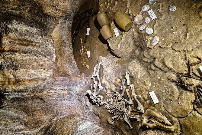 Eastern Jeju: All Inclusive Private Tour w/ Tangerine picking - Final Thoughts