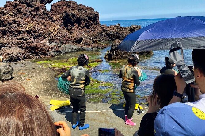 Eastern Jeju: All Inclusive Private Tour w/ Tangerine picking - Good To Know