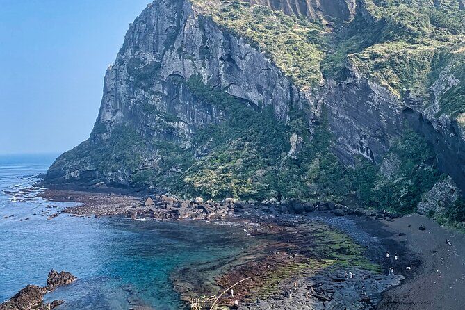 Eastern Jeju: All Inclusive Private Tour w/ Tangerine picking - In-Depth Review of the Eastern Jeju Private Tour