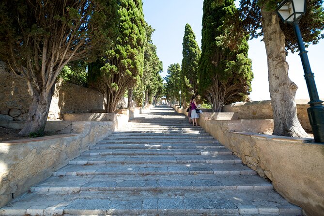 Eastern Majorca Tour With Arta Caves and Aloe Plantation - Questions and Assistance