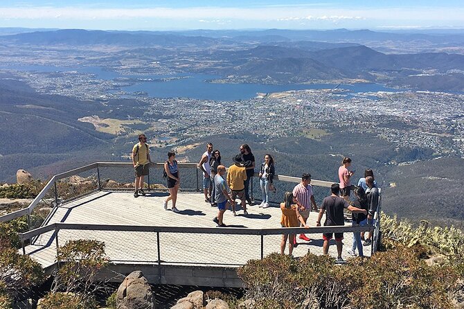 Easy Bike Tour - Mt Wellington Summit Descent & Rainforest Ride - Overview and What to Expect