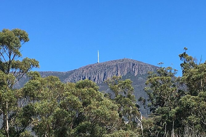 Easy Bike Tour - Mt Wellington Summit Descent & Rainforest Ride - Inclusions and Meeting/Pickup Information
