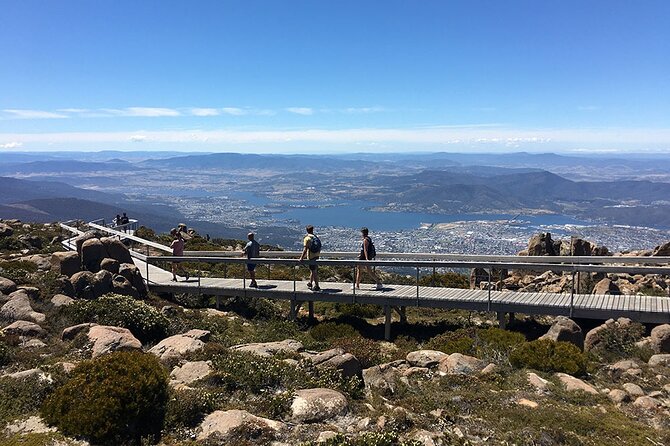 Easy Bike Tour - Mt Wellington Summit Descent & Rainforest Ride - Customer Reviews and Recommendations
