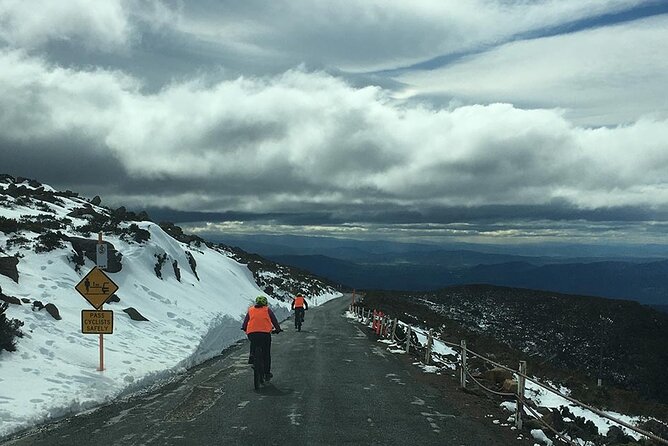 Easy Bike Tour - Mt Wellington Summit Descent & Rainforest Ride - Reviews and Traveler Photos