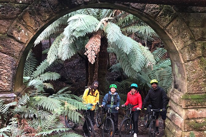 Easy Bike Tour - Mt Wellington Summit Descent & Rainforest Ride - Directions