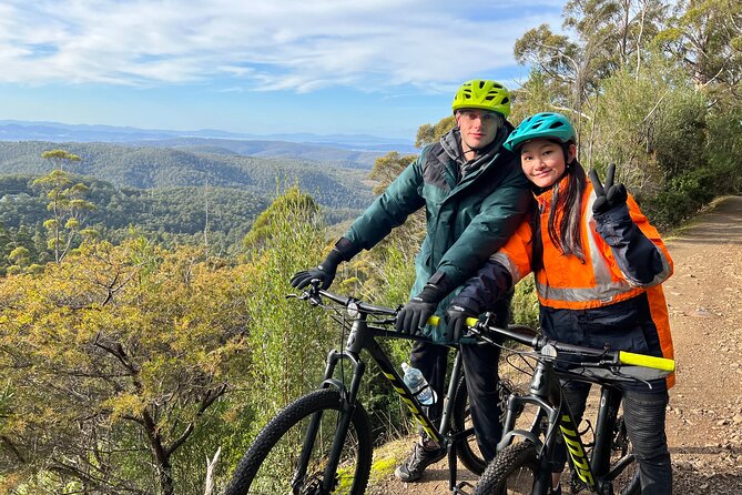 Easy Bike Tour - Mt Wellington Summit Descent & Rainforest Ride - The Sum Up