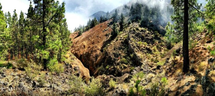 Easy Dry Canyoning in Tenerife - Experience Highlights
