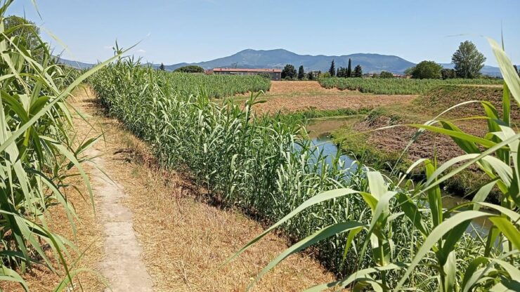 Easy Gravel Bike Tour With Organic Pic Nic in the Park - Itinerary and Experience