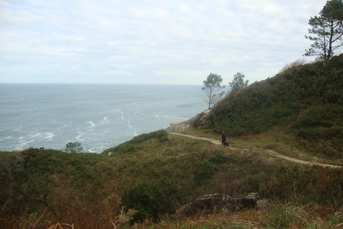 Easy Hike From San Sebastian To Pasaia - Local Cuisine and Refreshment Stops