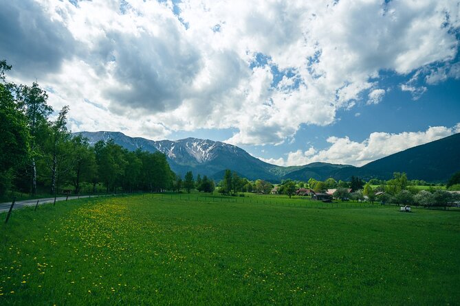 Easy Hiking Alpine Panorama Paradise Private Tour From Vienna - Frequently Asked Questions