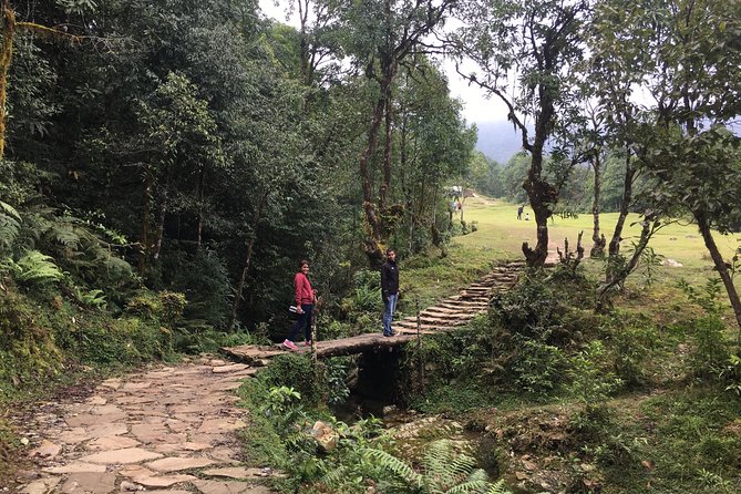 Easy Hiking to Australian Camp From Pokhara - Trail Difficulty: Easy Level
