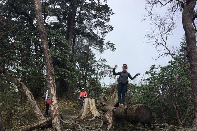 Easy Hiking to Sarangkot - Hiking Routes in Sarangkot