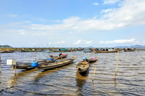 Easy Rider Loop Tour From Hoi An, Da Nang via Hai Van Pass - Booking Information and Policies