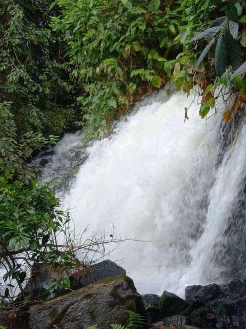 Easy Rider - Motorbike Tour - Pongour Waterfall Day Tour - Guest Review