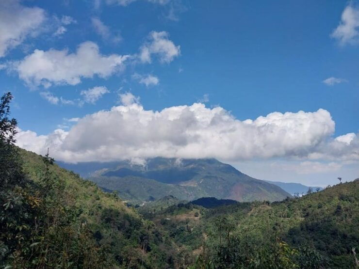 Easy Riders to Silver Waterfall, Love Waterfall, Lonely Tree - Itinerary Highlights