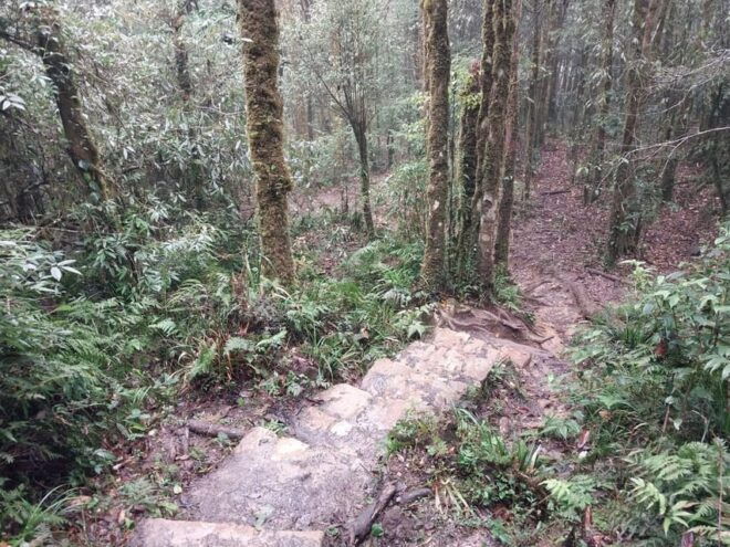 Easy Riders to Silver Waterfall, Love Waterfall, Lonely Tree - Experience Description
