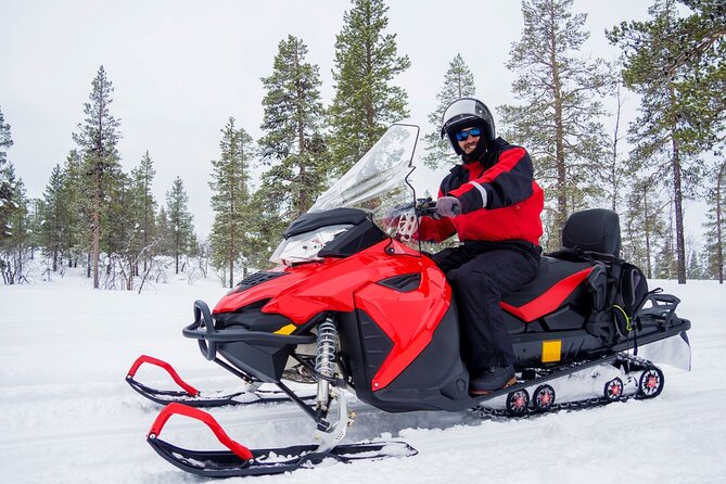 Easy Snowmobile Safari - Snowmobile Safari Highlights