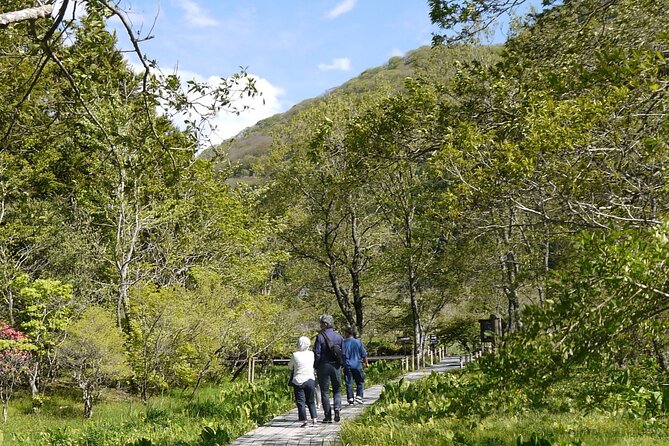 Easygoing Nature Walk in Hakone Tour - Private Transportation