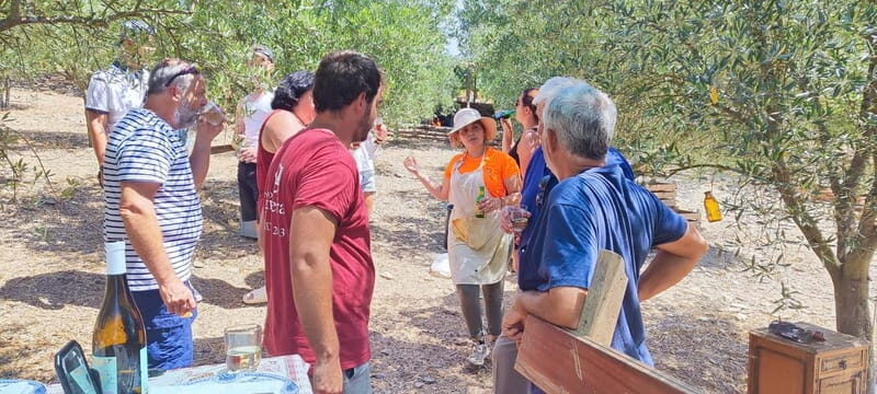 Eat in the vineyards like a Duriense - Good To Know