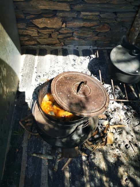 Eat in the vineyards like a Duriense - Who Will Love This Experience?