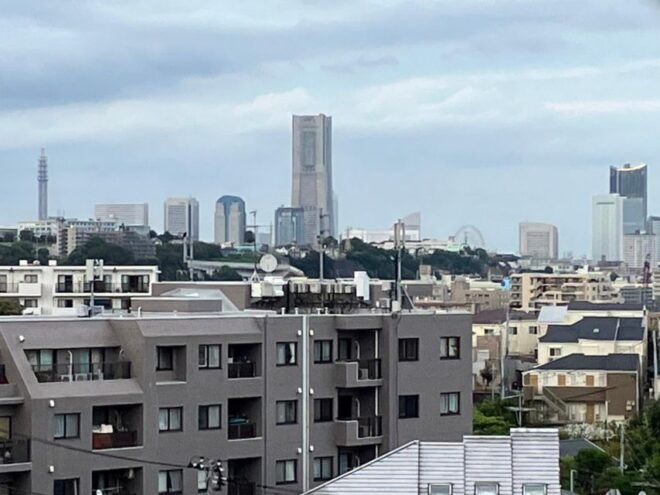 Eat Like a Local in Yokohama - Highlights of the Tour