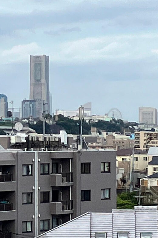 Eat like a local in Yokohama - with a Local Expert Guide! - Final Thoughts