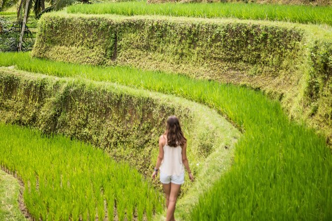 Eat Pray Love Bali Private Tour – Full Day - Tour Overview