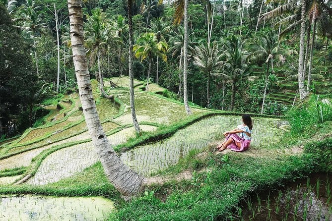 Eat Pray Love Bali Private Tour – Full Day - Meeting and Pickup Details