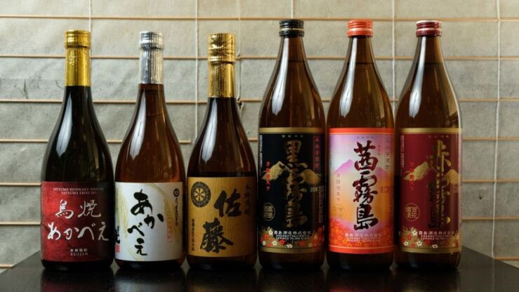 Eat, Speak, Enjoy: Osaka Izakaya Night With Japanese Lesson - Experience