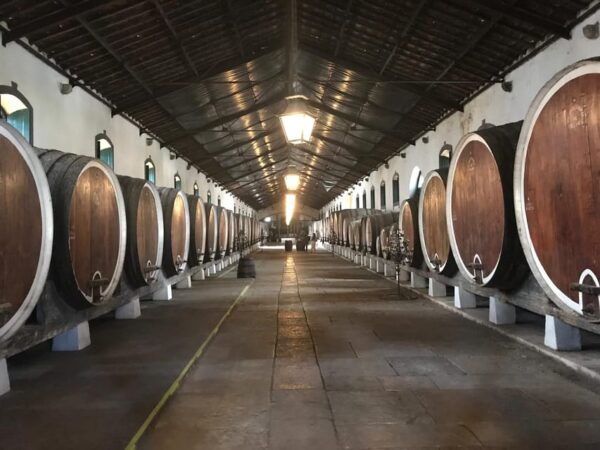 Eat Wine Love and Jeep in Sintra - Taste Local Wines and Tapas