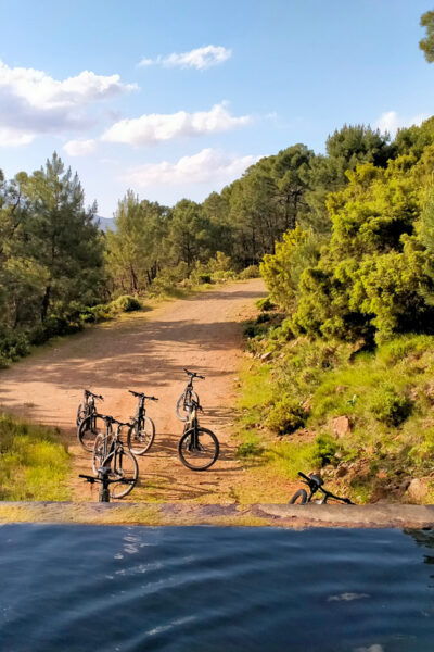 EBIKE MTB + Traditional Pastry Workshop in National Park - Booking and Cancellation