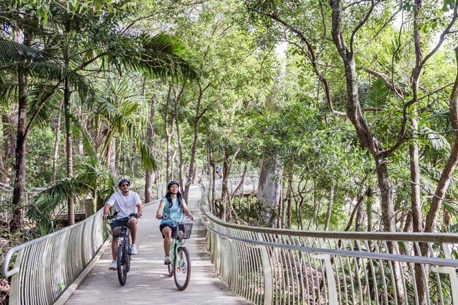 Ebike Noosa Sightseeing Tour - New! - Lowest Price Guarantee