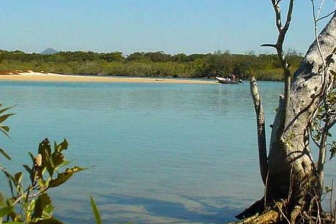 Ebike Noosa Sightseeing Tour - New! - The Sum Up