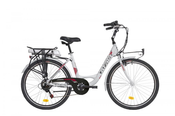 Ebike Rental in Palermo - Reasons to Choose Ebike Rental in Palermo