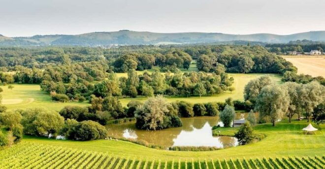 Ebike Tour Albourne Estate: Wine Tasting and Downs Ebiking - Availability and Booking