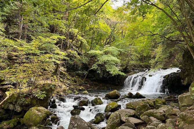 Ebike Tour in Lake Shirakaba and Tateshina Highland Japan - Common Questions