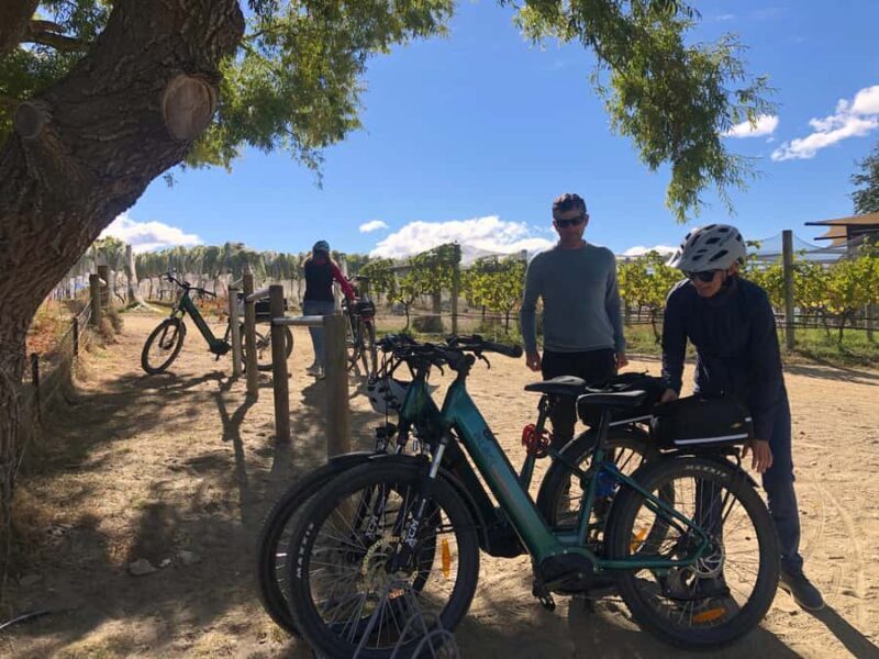 ebike tour lake Hawea river track to Wanaka - Exploring the Lake Hawea River Track to Wanaka by E-Bike