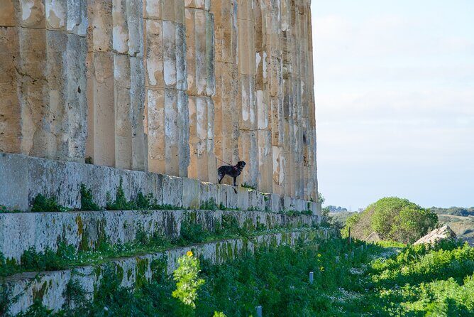 Ebike tour, Selinunte - What Makes This Tour Stand Out?