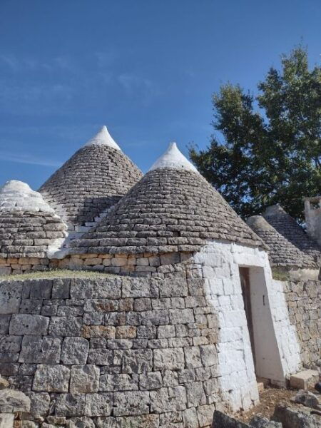 Ebike Tour: the Villages of Valle Ditria and Typical Food - Frequently Asked Questions
