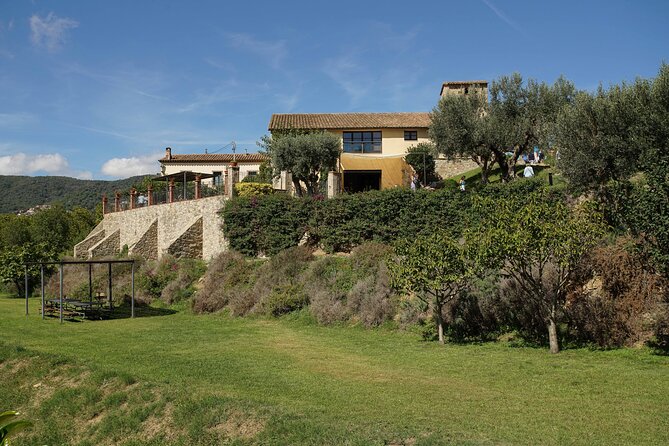 Ebike Tour, Winery, Wine Tasting & Sailing Experience(Car Option) - Tour Highlights