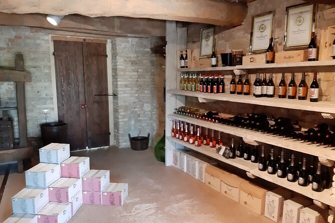 EBike Tour With Organic Wine Tasting - Reviews and Additional Information