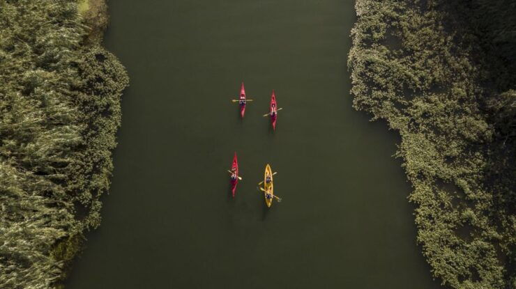Ebro Delta: Guided Kayak Tour to Gracia Island - Booking Details